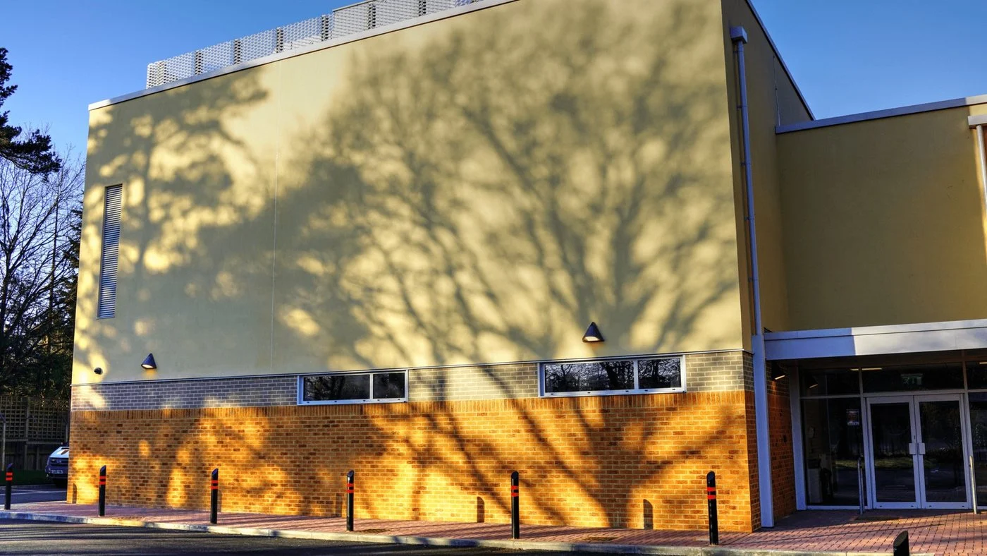 Rendered wall with tree shadows over a brick base, beside a glazed entrance.